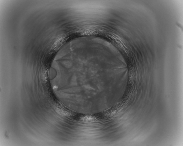 X0000096410503200802141544