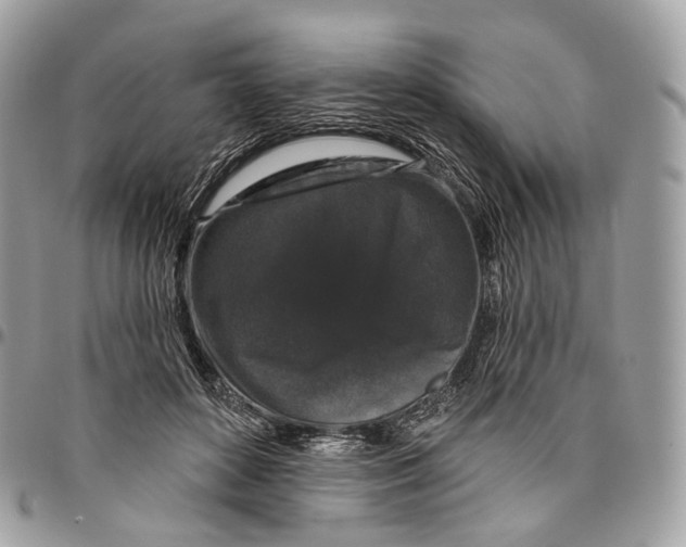 X0000096410504200802141544