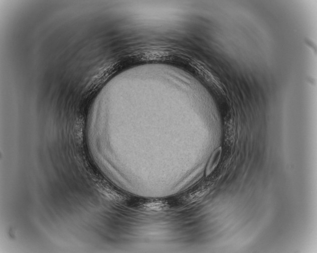 X0000096410505200802141544