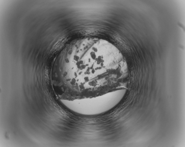 X0000096410506200802141544