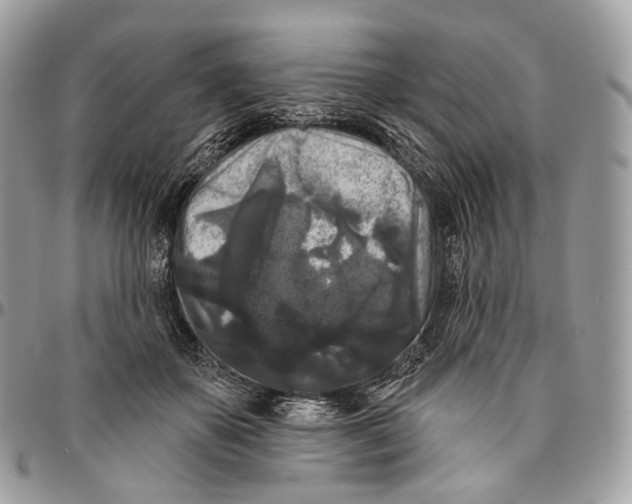 X0000096410507200802141544