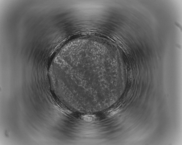 X0000096410508200802141544