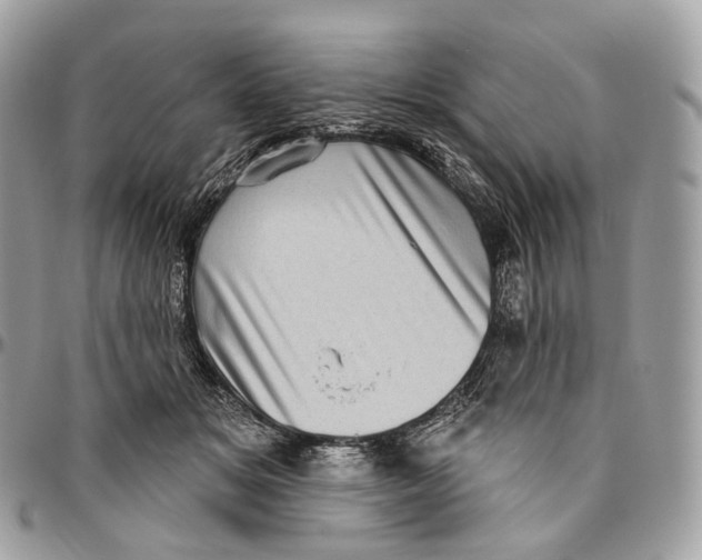 X0000096410509200802141544