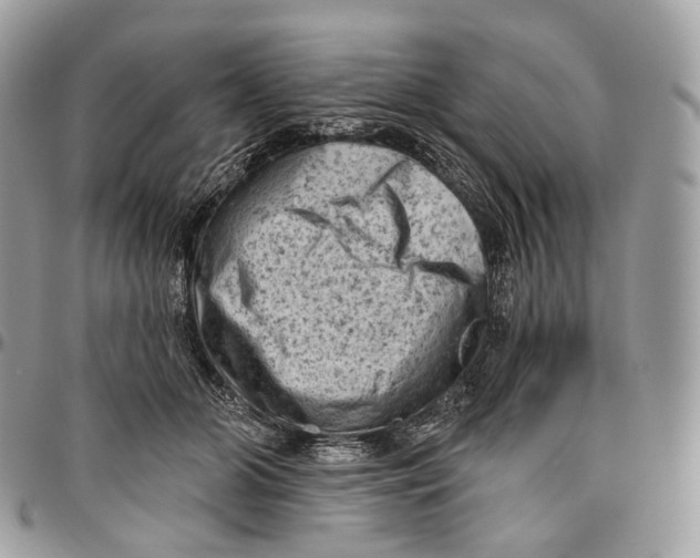 X0000096410510200802141544