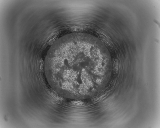 X0000096410511200802141544