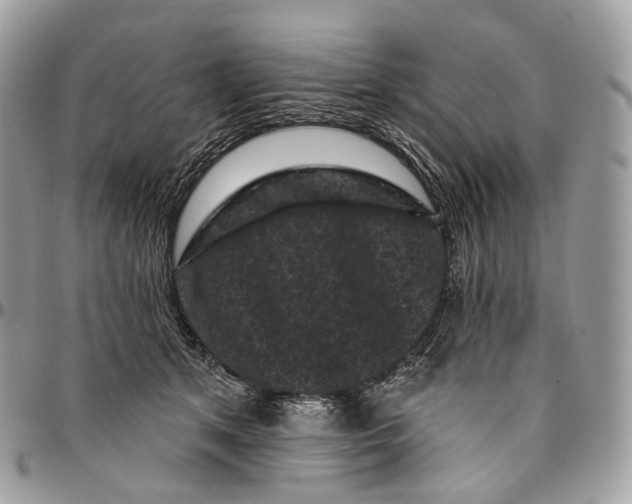 X0000096410513200802141543