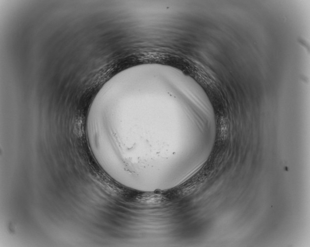 X0000096410514200802141543