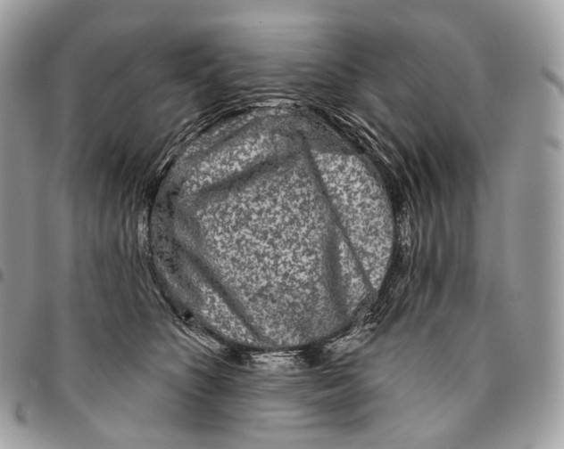 X0000096410516200802141543