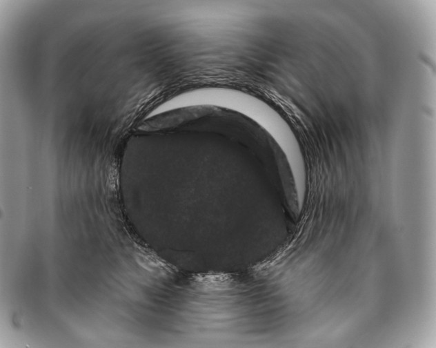 X0000096410517200802141543