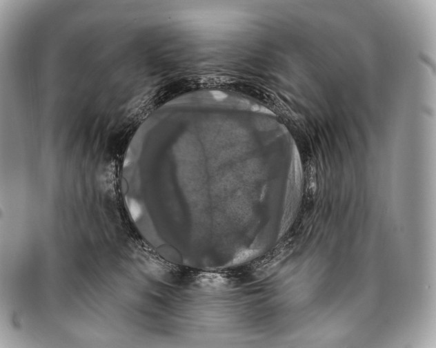 X0000096410519200802141543