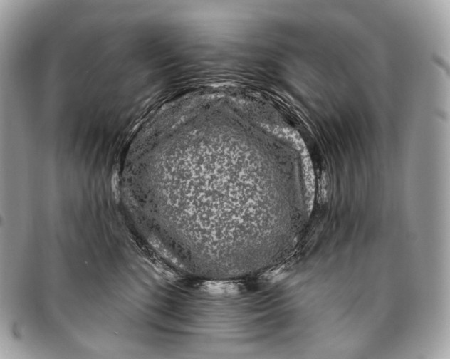 X0000096410520200802141543