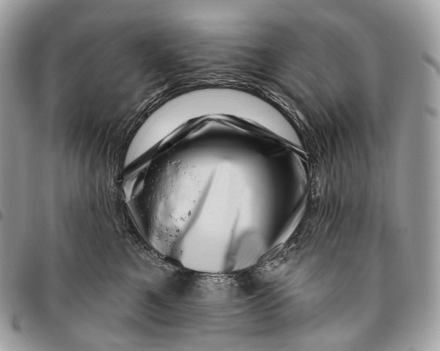 X0000096410521200802141543