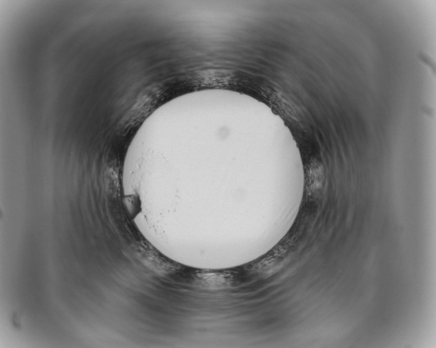 X0000096410522200802141543