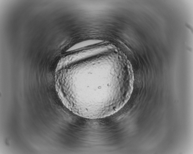 X0000096410523200802141543