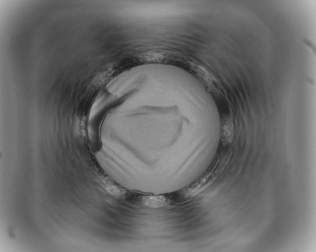 X0000096410525200802141543