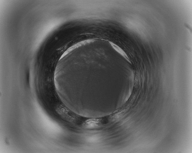 X0000096410526200802141543