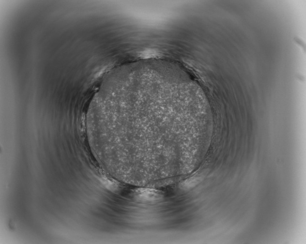 X0000096410528200802141543