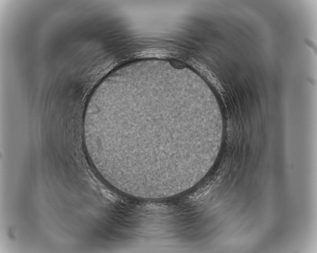 X0000096410529200802141543