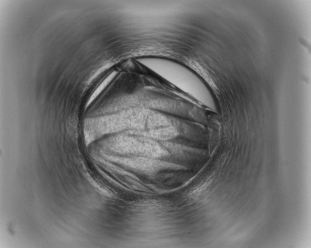 X0000096410530200802141543