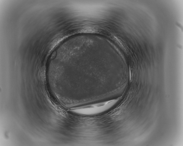 X0000096410531200802141543