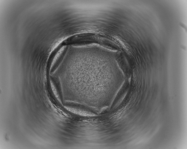 X0000096410532200802141543