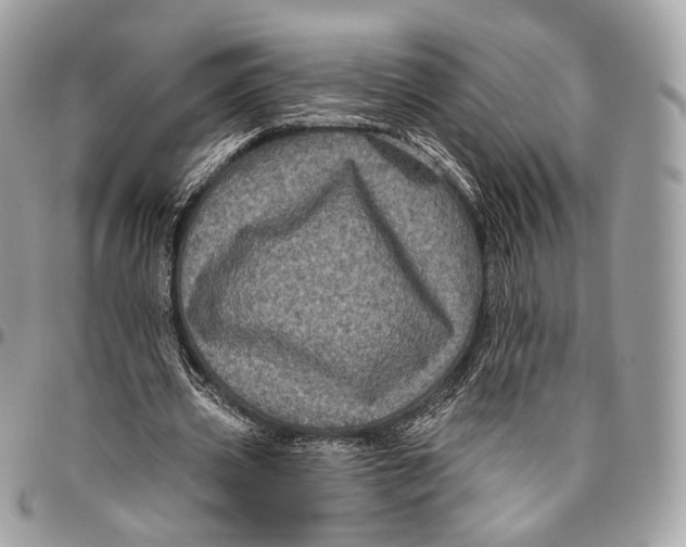 X0000096410533200802141543