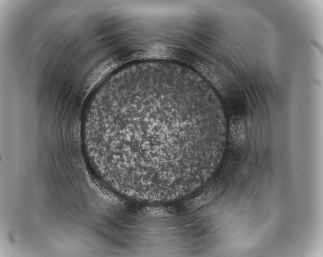 X0000096410534200802141543