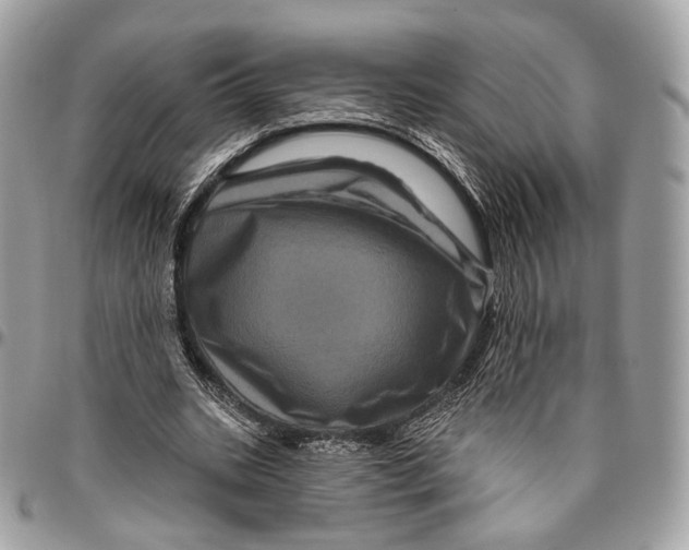 X0000096410535200802141543