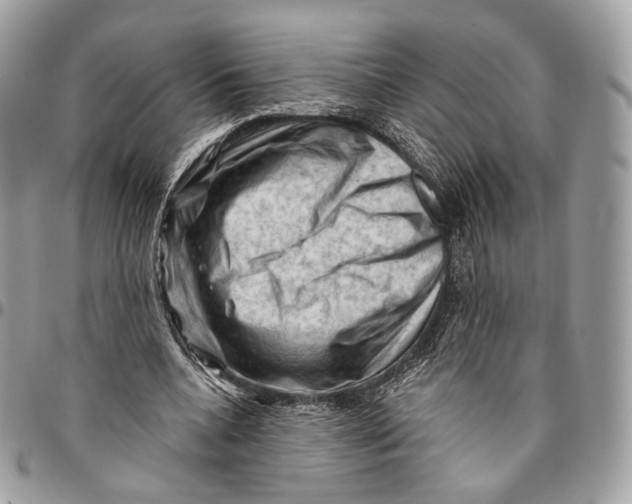 X0000096410536200802141543