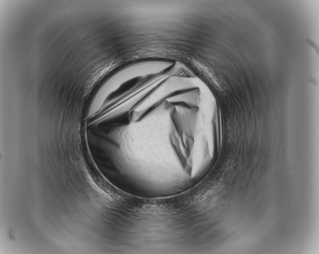 X0000096410538200802141543