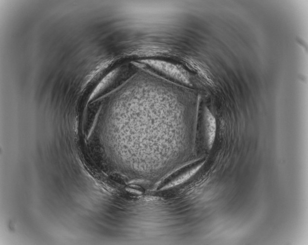 X0000096410539200802141543