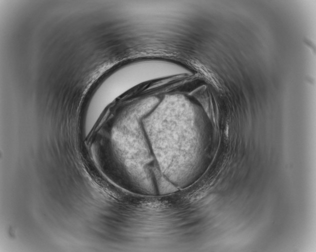 X0000096410540200802141543