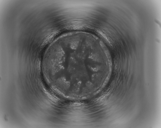 X0000096410542200802141543