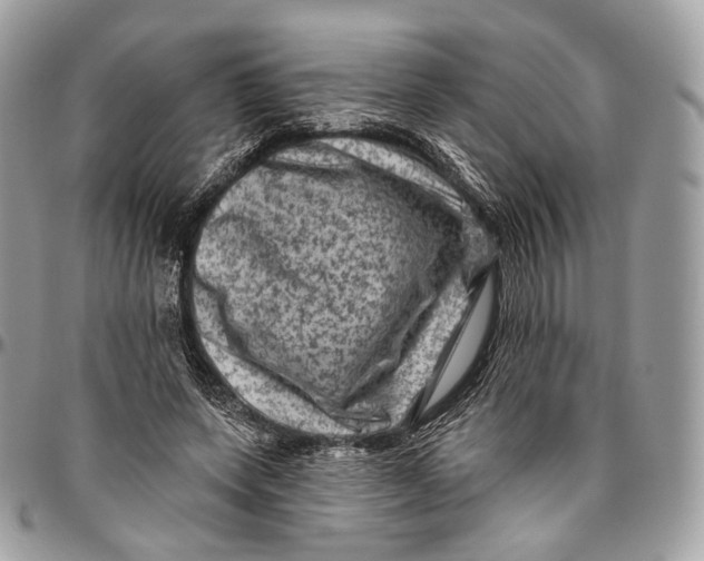 X0000096410543200802141543