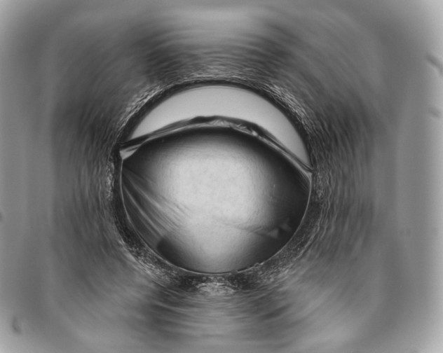 X0000096410544200802141543