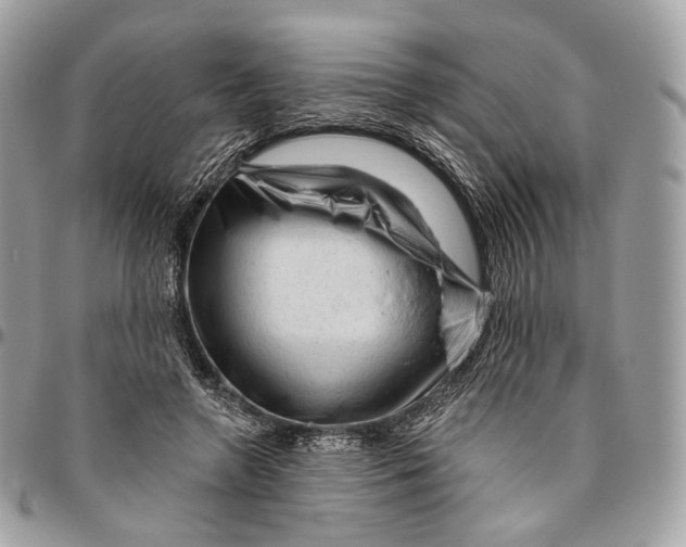 X0000096410546200802141543