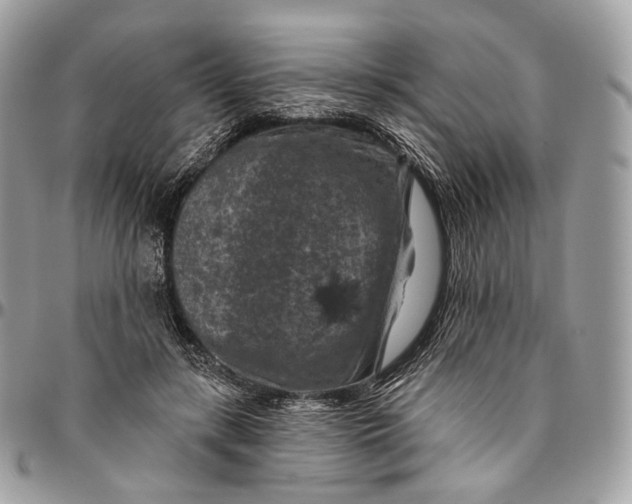 X0000096410547200802141543