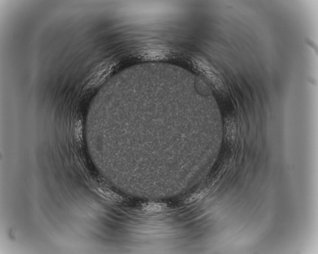 X0000096410549200802141543