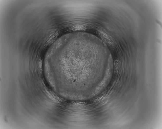 X0000096410550200802141543