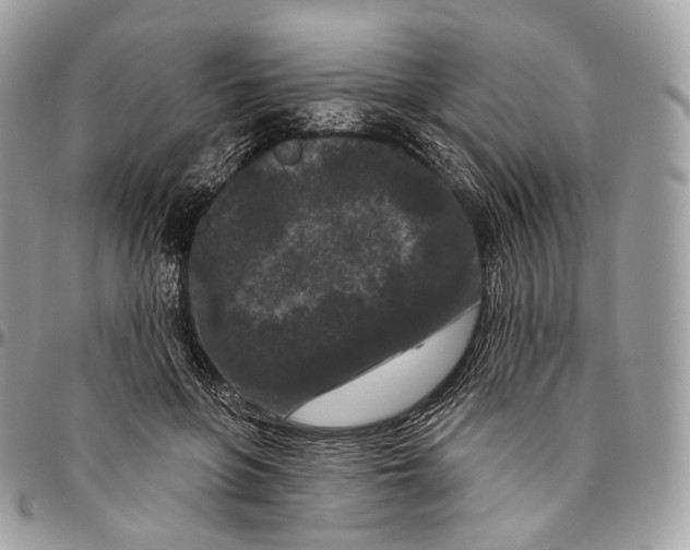 X0000096410551200802141543