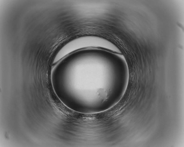 X0000096410552200802141543