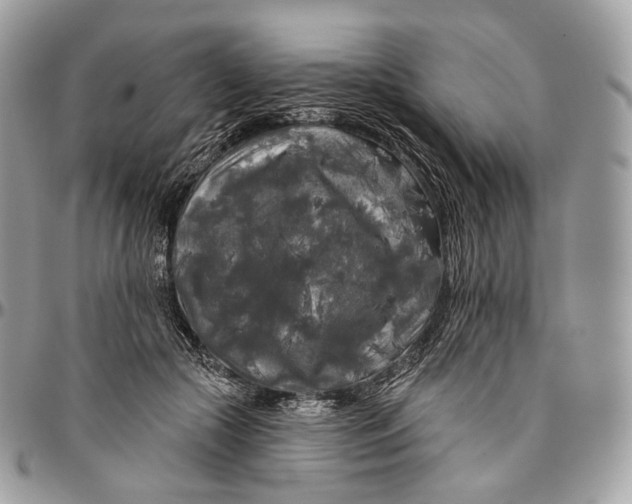 X0000096410553200802141543