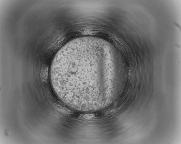 X0000096410554200802141543