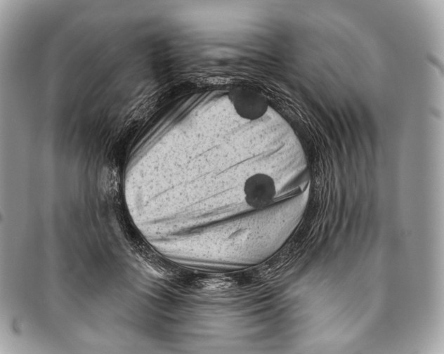 X0000096410555200802141543