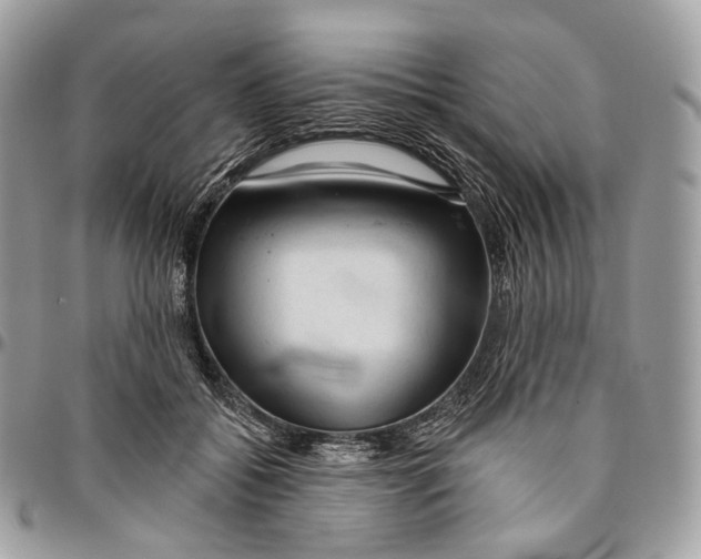 X0000096410556200802141543