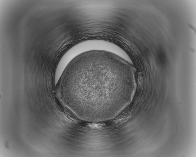 X0000096410558200802141543