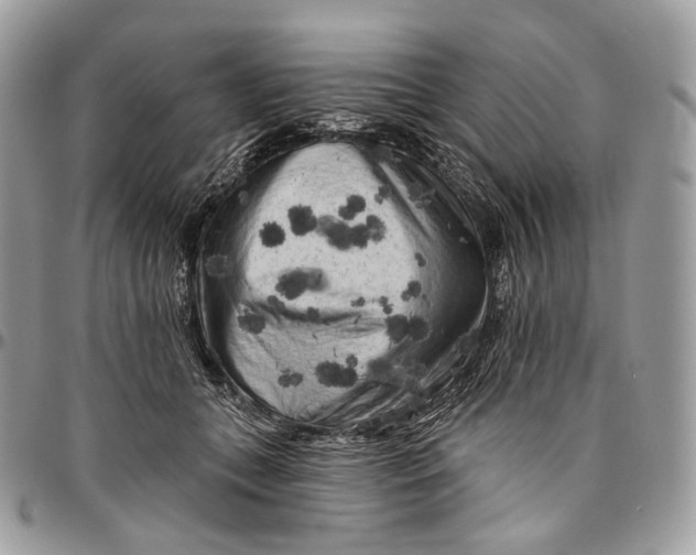 X0000096410559200802141543