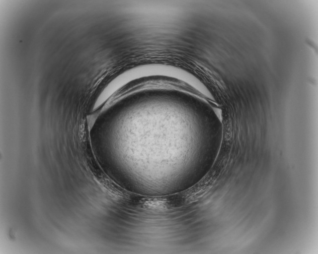 X0000096410560200802141543