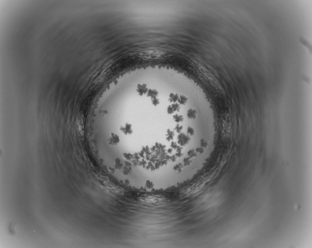 X0000096410561200802141543