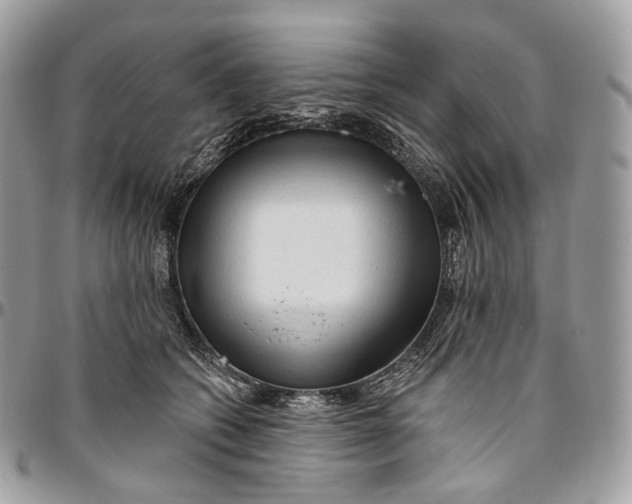 X0000096410562200802141543